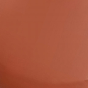 I.V. Lip Gloss Stain Caramel Drip