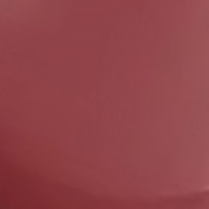 I.V. Lip Gloss Stain Hydra Honey