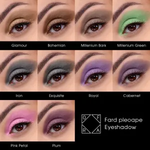 Fard pleoape OFRA Eyeshadow