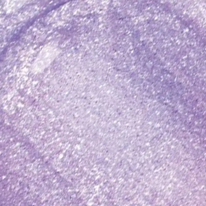 Hypnotic Lights Holographic Lip Topper Beaming Light