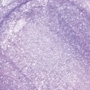 Hypnotic Lights Holographic Lip Topper Beaming Light