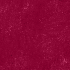 Color Statement Lipliner Bordeaux