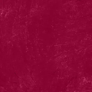 Color Statement Lipliner Bordeaux
