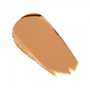 Anne T. Dote Concealer Dark (#42)