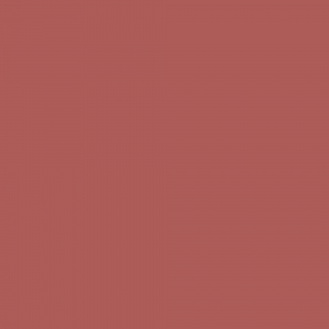 Understatement Lipliner 110 Nude Entrance