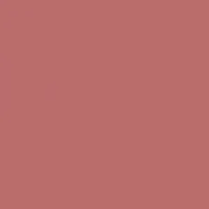 Understatement Lipliner 120 French Rosé