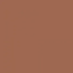 Understatement Lipliner 160 Café Au Lait