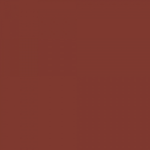 Understatement Lipliner 190 Sienna Style