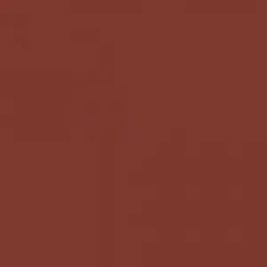 Understatement Lipliner 190 Sienna Style