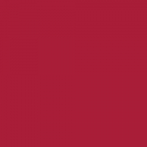 Understatement Lipliner 200 Sassy Cherry