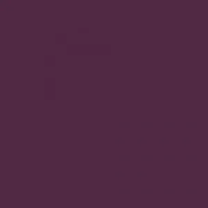 Understatement Lipliner 220 Brazenberry