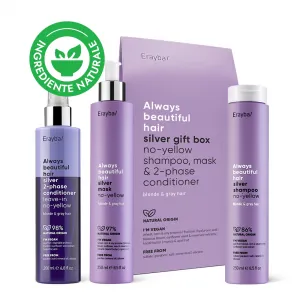 Set Cadou pentru Neutralizarea Tonurilor Galbene Erayba Silver Gift Box