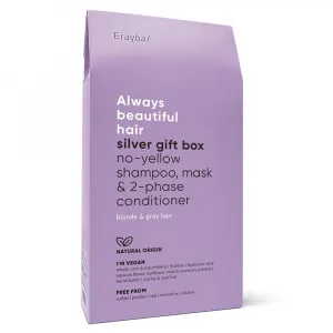 Cutie Ambalaj Erayba Silver ABH Gift Box