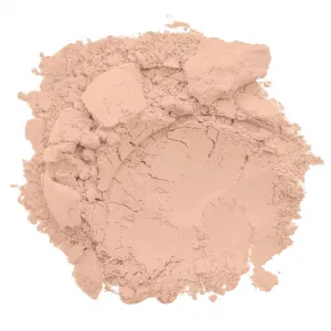 Conceal + Perfect Shine-Proof Powder Fair