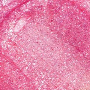 Hypnotic Lights Holographic Lip Topper Flashing Light