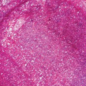 Hypnotic Lights Holographic Lip Topper Fluorescent Light