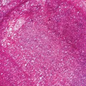 Hypnotic Lights Holographic Lip Topper Fluorescent Light