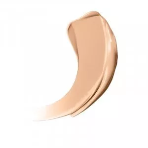 Conceal + Perfect 2 in 1 Foundation + Concealer Natural