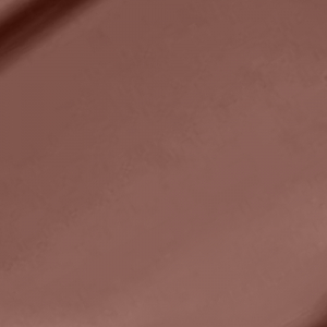 Butter Gloss Ginger Snap