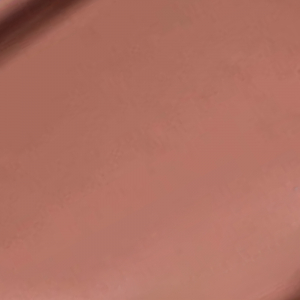 Butter Gloss Ginger Snap