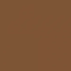 Marker pentru sprancene NYX Professional Makeup Lift N Snatch Brow Tint Pen Caramel