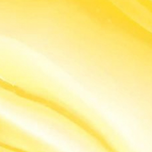 Fruit Fetish Lip Balm Mango Coconut