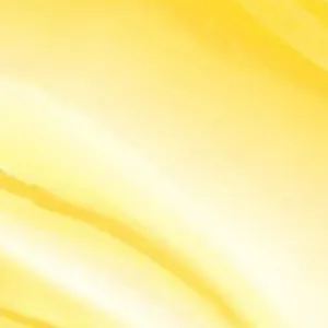 Fruit Fetish Lip Balm Mango Coconut