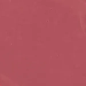 Purse-Worthy Lip Gloss Mini
