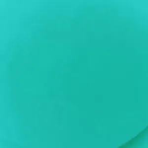 My Glow Lip Oil Mint