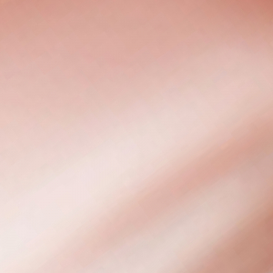 Lip Oil Nude Not Crude