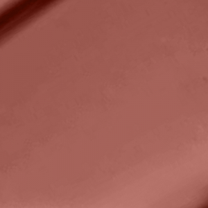 Butter Gloss Praline