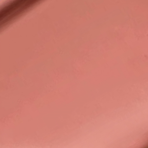 Butter Gloss Praline