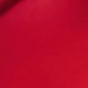 Butter Gloss Red Velvet