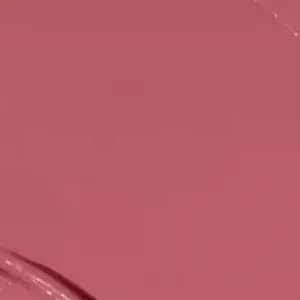 Stay Put Longwear Lipstick Snatched