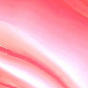 Fruit Fetish Lip Balm Strawberry Lemonade