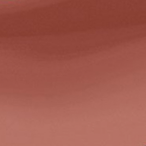 Amore Shine Liquid Lip Color Tenderness