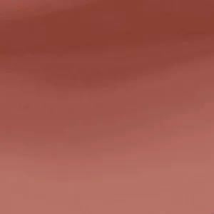 Amore Shine Liquid Lip Color Tenderness