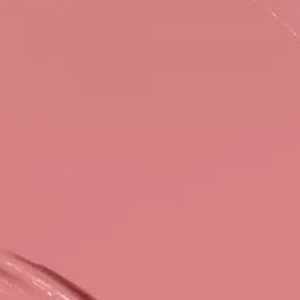 Stay Put Longwear Lipstick The Moment
