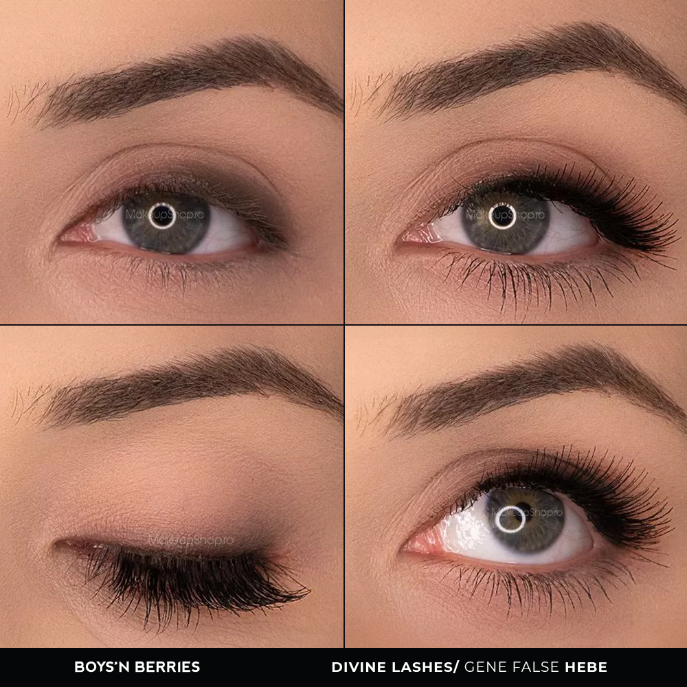 Gene False Boys`n Berries Hebe