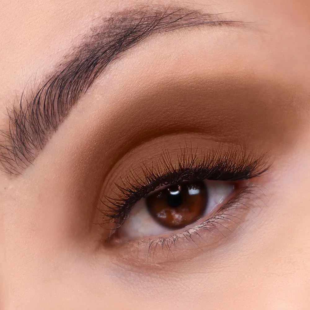 Fard pleoape OFRA Bright Addiction Eyeshadow Brown