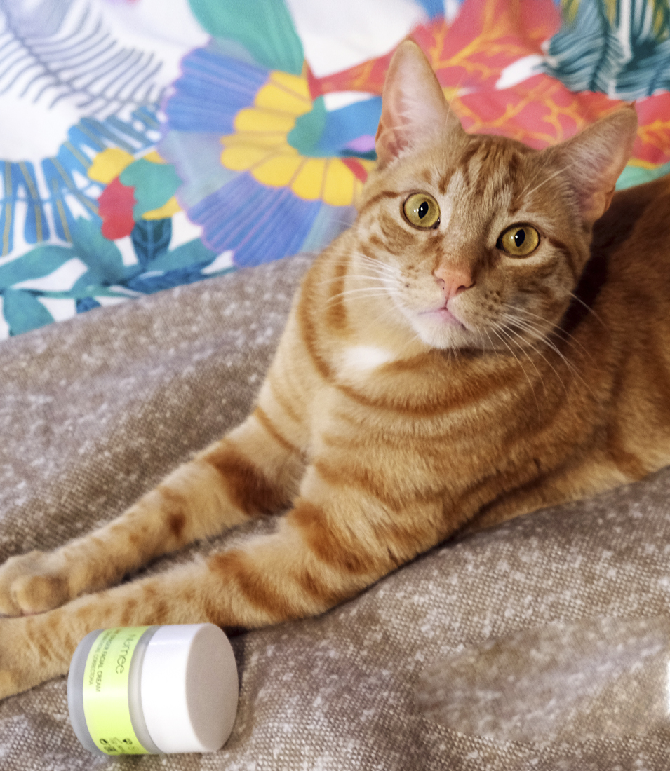 Crema Fata Numee Game On Play Line Eraser Facial Cream