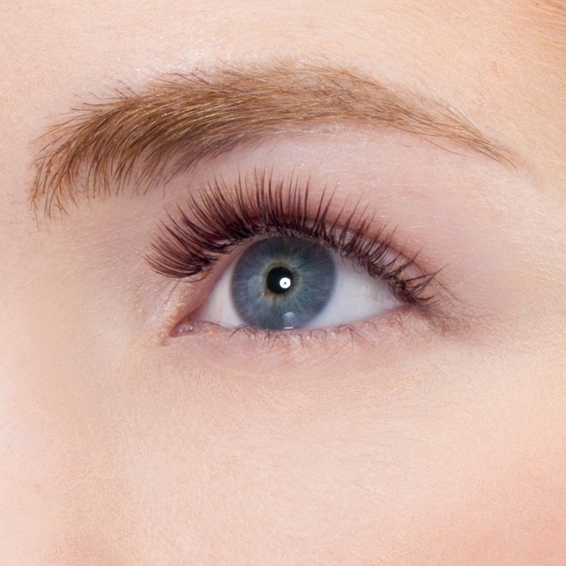 Gene False KissUSA True Volume Lashes Posh