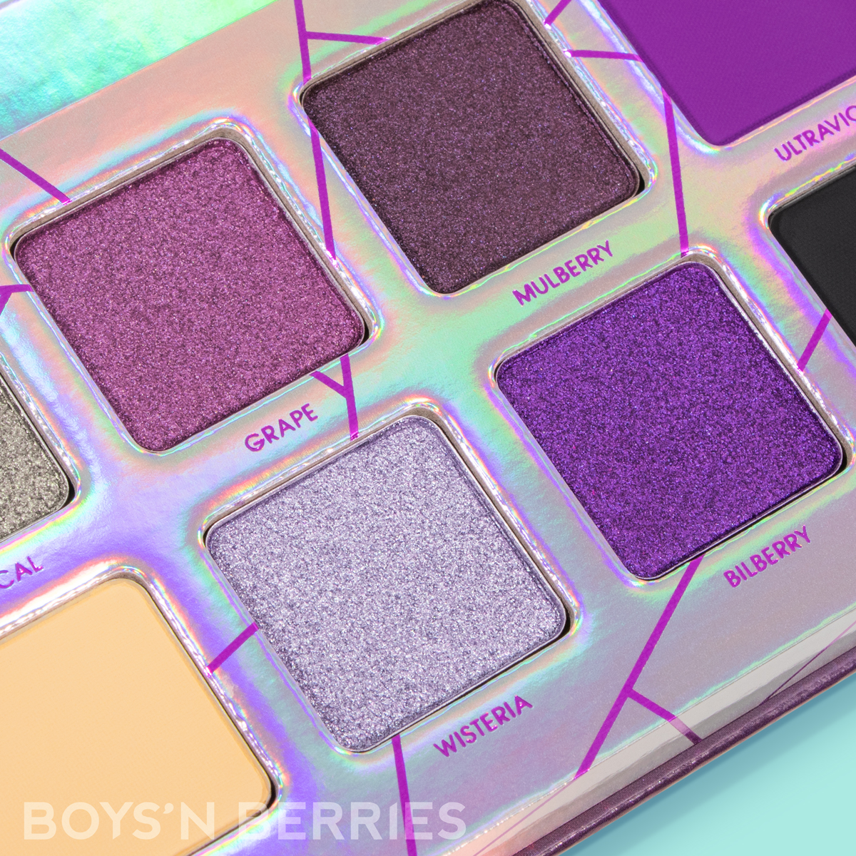 Paleta Farduri Boys`n Berries 14K Pro Eyeshadow Palette Crushed Berries